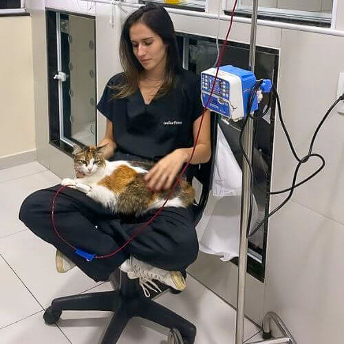 veterinaria-24h-ilha-do-governador (13)