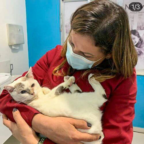 veterinaria-24h-ilha-do-governador (14)