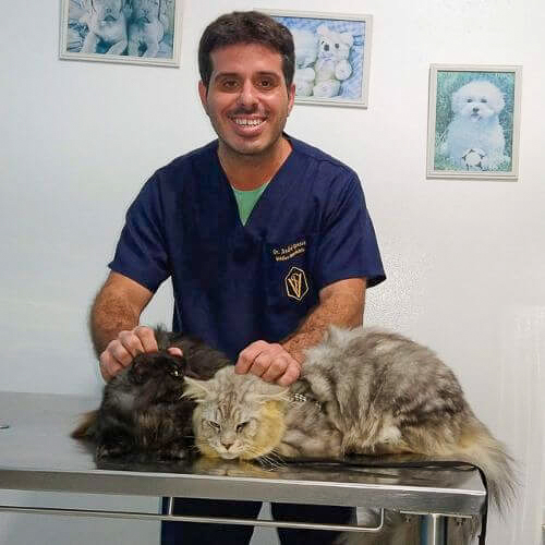 veterinaria-24h-ilha-do-governador (17)