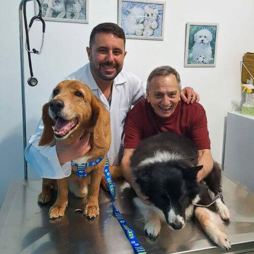 veterinaria-24h-ilha-do-governador (19)