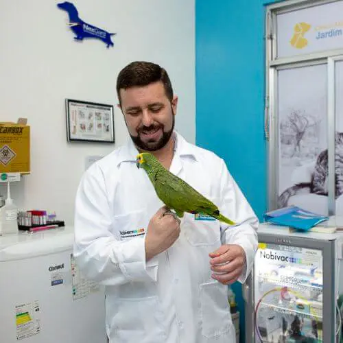 veterinaria-24h-ilha-do-governador (2)