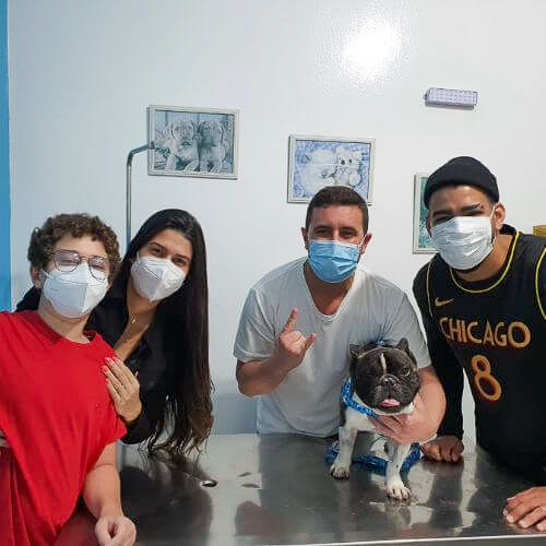 veterinaria-24h-ilha-do-governador (22)
