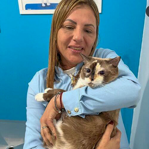 veterinaria-24h-ilha-do-governador (23)