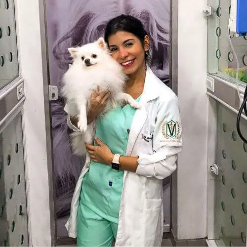 veterinaria-24h-ilha-do-governador (25)