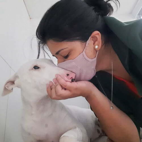 veterinaria-24h-ilha-do-governador (26)