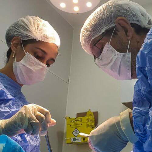 veterinaria-24h-ilha-do-governador (4)