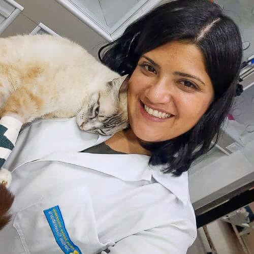 veterinaria-24h-ilha-do-governador (5)